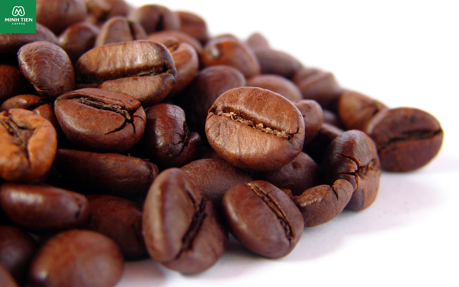 ca phe robusta