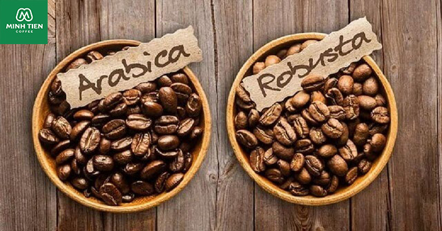 ca phe robusta